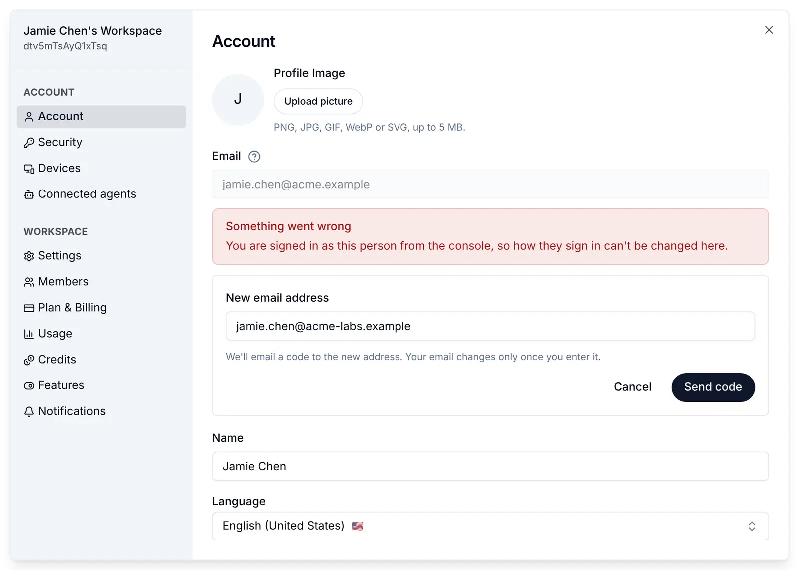 The Account screen in a full-access session: changing the email address is refused with You are signed in as this person from the console, so how they sign in can't be changed here